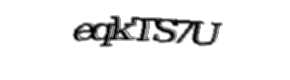Security check image, please type the characters shown